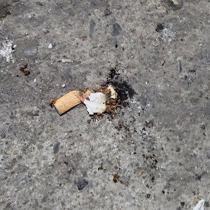 Welt verlassen 