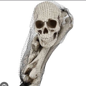 Bag of Bones 🦴  