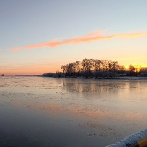 Каждому своё