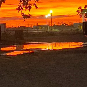 Sun Dawn