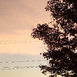 Song (feat. JayB) realigned 