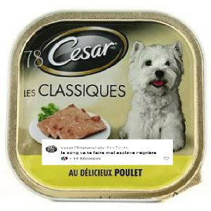 César 