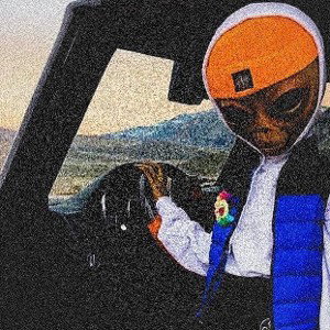 freestyle 10