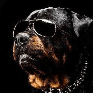 .....