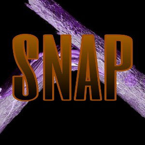  snap 🫰🏾