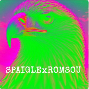 Sp aigle ft Romsou - 🚬🚬🚬🚬