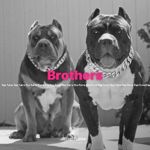 Brothers 