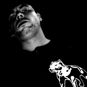 STEVO030BEATS!