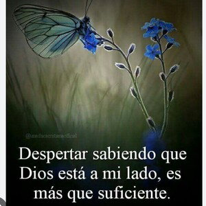 Nada Me Hace Daño (Dios Va Conmigo)”