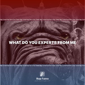 What do you Experts from me