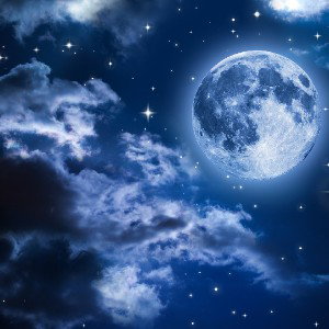 🌙🌙🌙