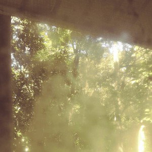 Fractal (03:51)