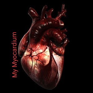 My Myocardium