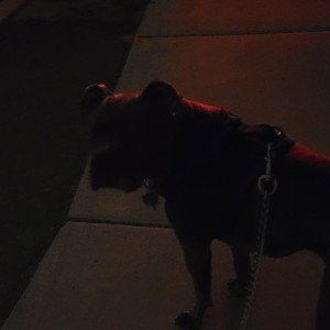 Dod Walk Collab ft. Austyn 