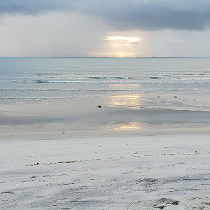 No Rain