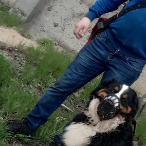 что делать дальше 