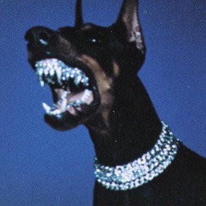 DAWG