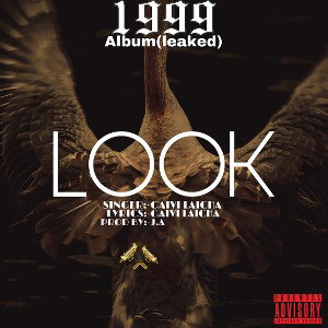 LOOK #5