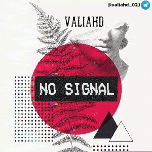 No Signal