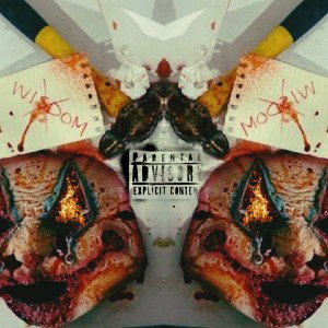 wisdomx - Wonder Why 