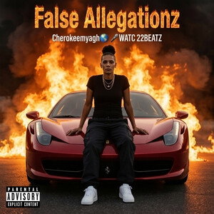 False Allegationz