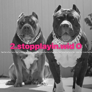 2.stopplayin.wid O