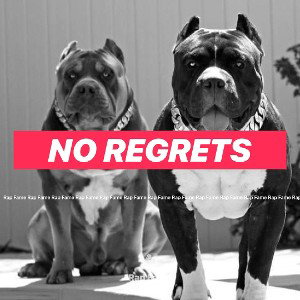 No Regrets 
