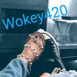 WOkey - Introduction_