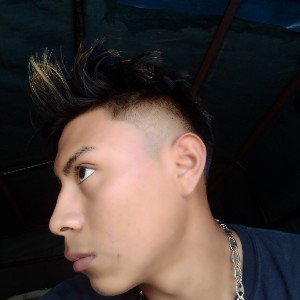 Estimo El Terreno Ft El Vocal