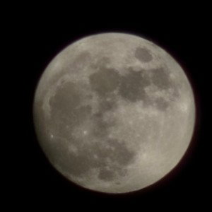 even better in the moonlight
