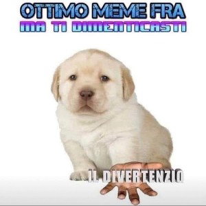 24/0 feat. Venom (prod. Yirt)