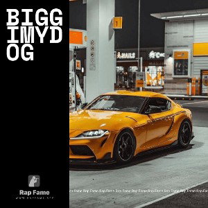 Biggimydog