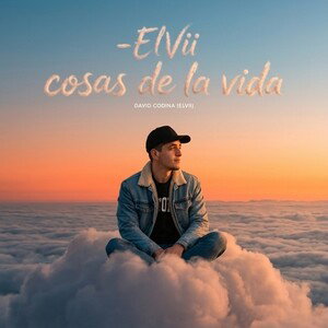 -ElVii cosas de la vida 