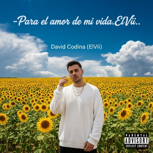 -Para el amor de mi vida. ElVii..