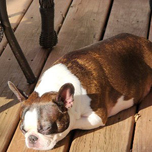 Chillin'