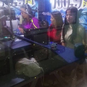 el paladar del audio