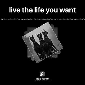 live the life you want