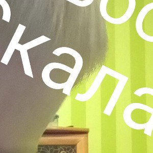 Скала