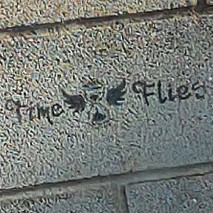 Freestyle