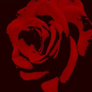 21rose ft.plohoyluva-лишь сон
