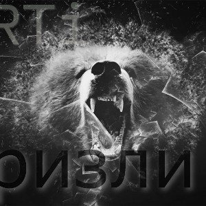 MoRTi - Гризли