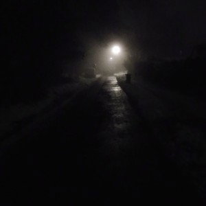 Traumwelt im Nebel 