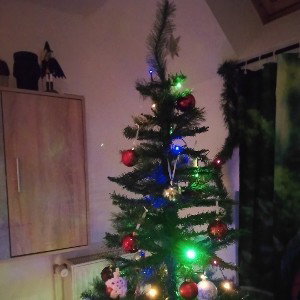mein wunderschöne tannenbaum 
