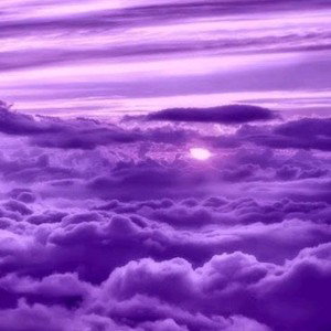 Lilac(Albanian version)
