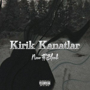KIRIK KANATLAR~(NECO667 ft BLACK)