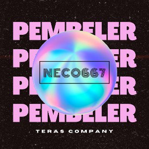 PEMBELER ~ NECO667