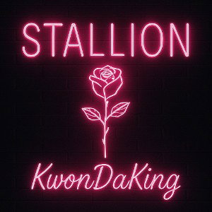 STALLION