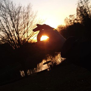 Sonne