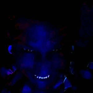 B4CK2MYR00T5