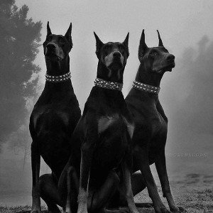 Lucky ones (16:00)